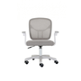 Cadeira Escritório Diretor Cinza Giratória C250 – Best